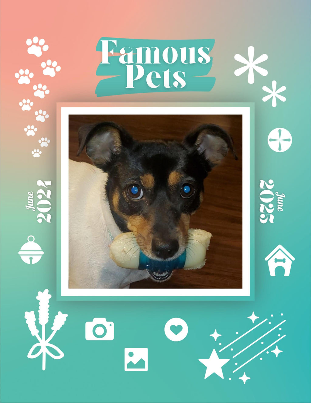 Famous Pets: June 2024-June 2025 Wall Calendar (Pre-Order)