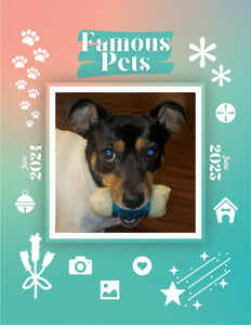 Famous Pets: June 2024-June 2025 Wall Calendar (Pre-Order)