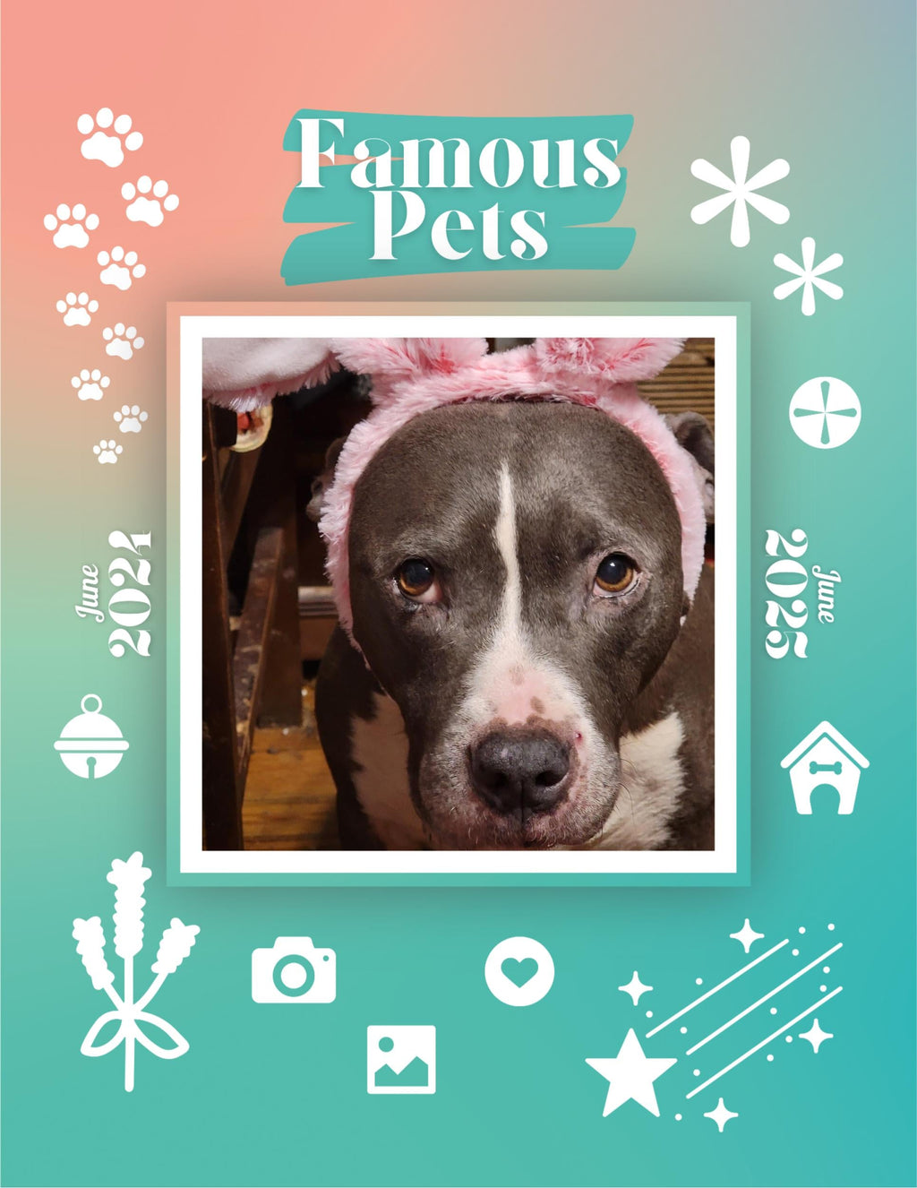 Famous Pets: June 2024-June 2025 Wall Calendar (Pre-Order)