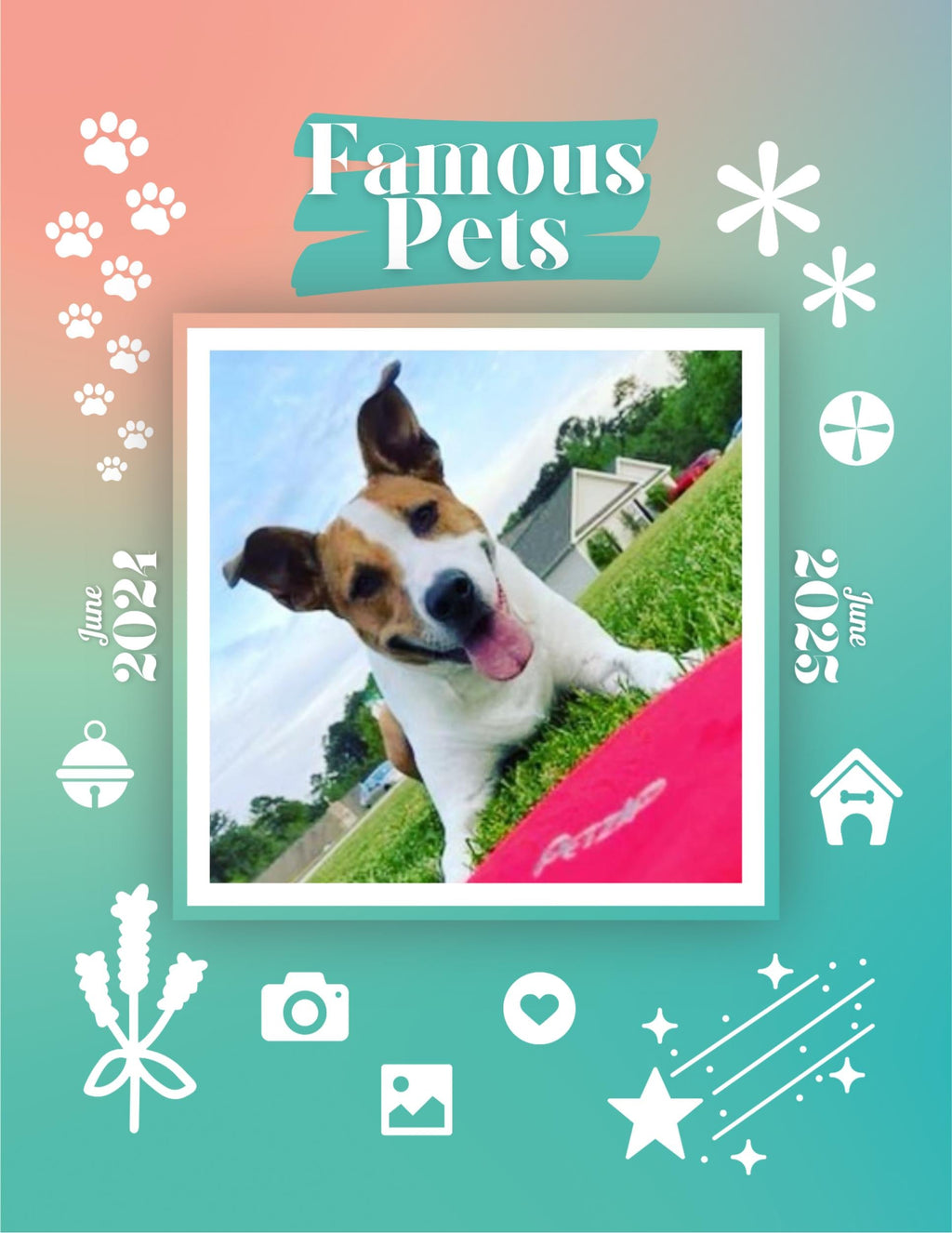 Famous Pets: June 2024-June 2025 Wall Calendar (Pre-Order)