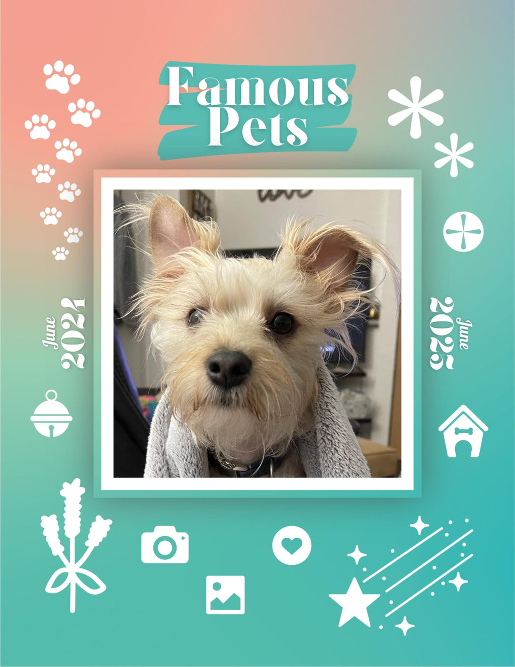 Famous Pets: June 2024-June 2025 Wall Calendar (Pre-Order)