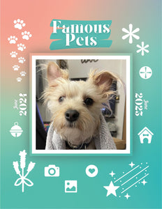 Famous Pets: June 2024-June 2025 Wall Calendar (Pre-Order)