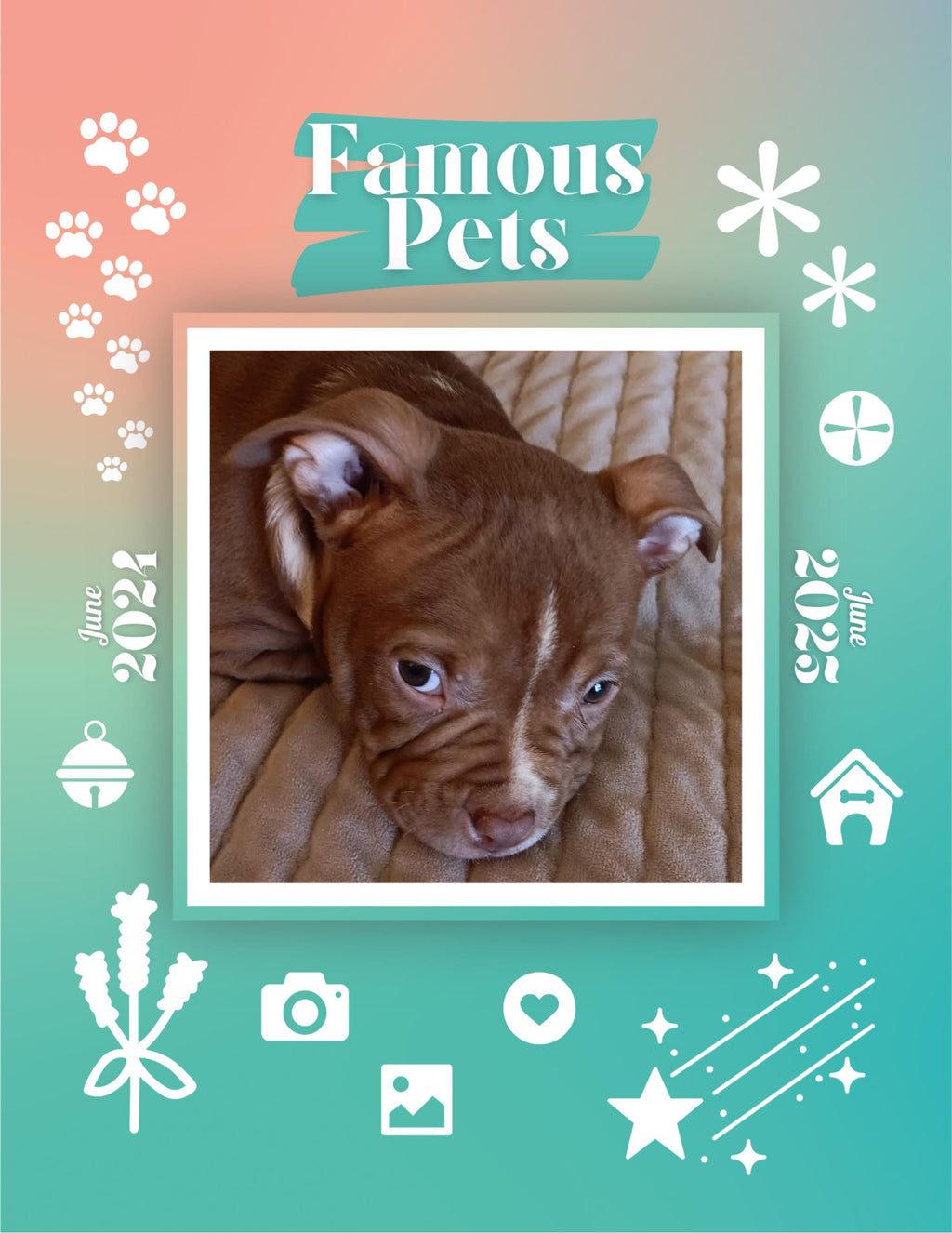 Famous Pets: June 2024-June 2025 Wall Calendar (Pre-Order)