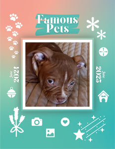 Famous Pets: June 2024-June 2025 Wall Calendar (Pre-Order)