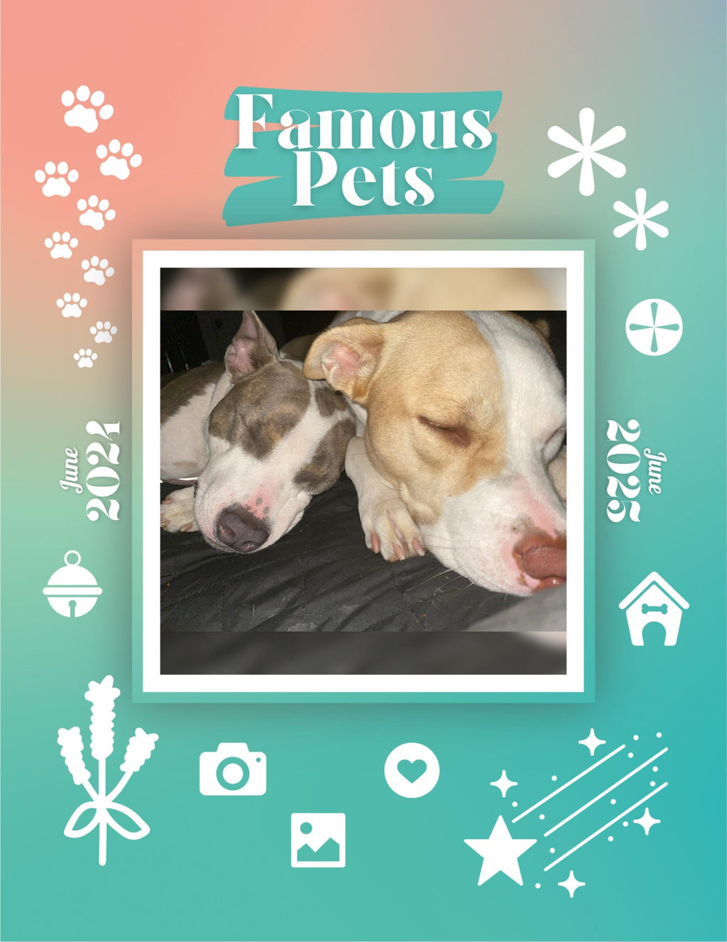 Famous Pets: June 2024-June 2025 Wall Calendar (Pre-Order)