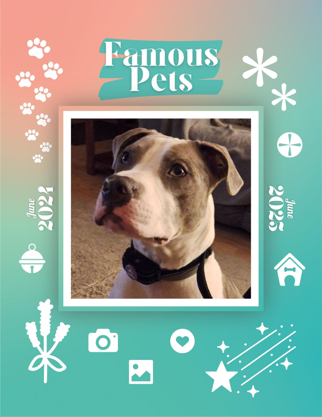 Famous Pets: June 2024-June 2025 Wall Calendar (Pre-Order)
