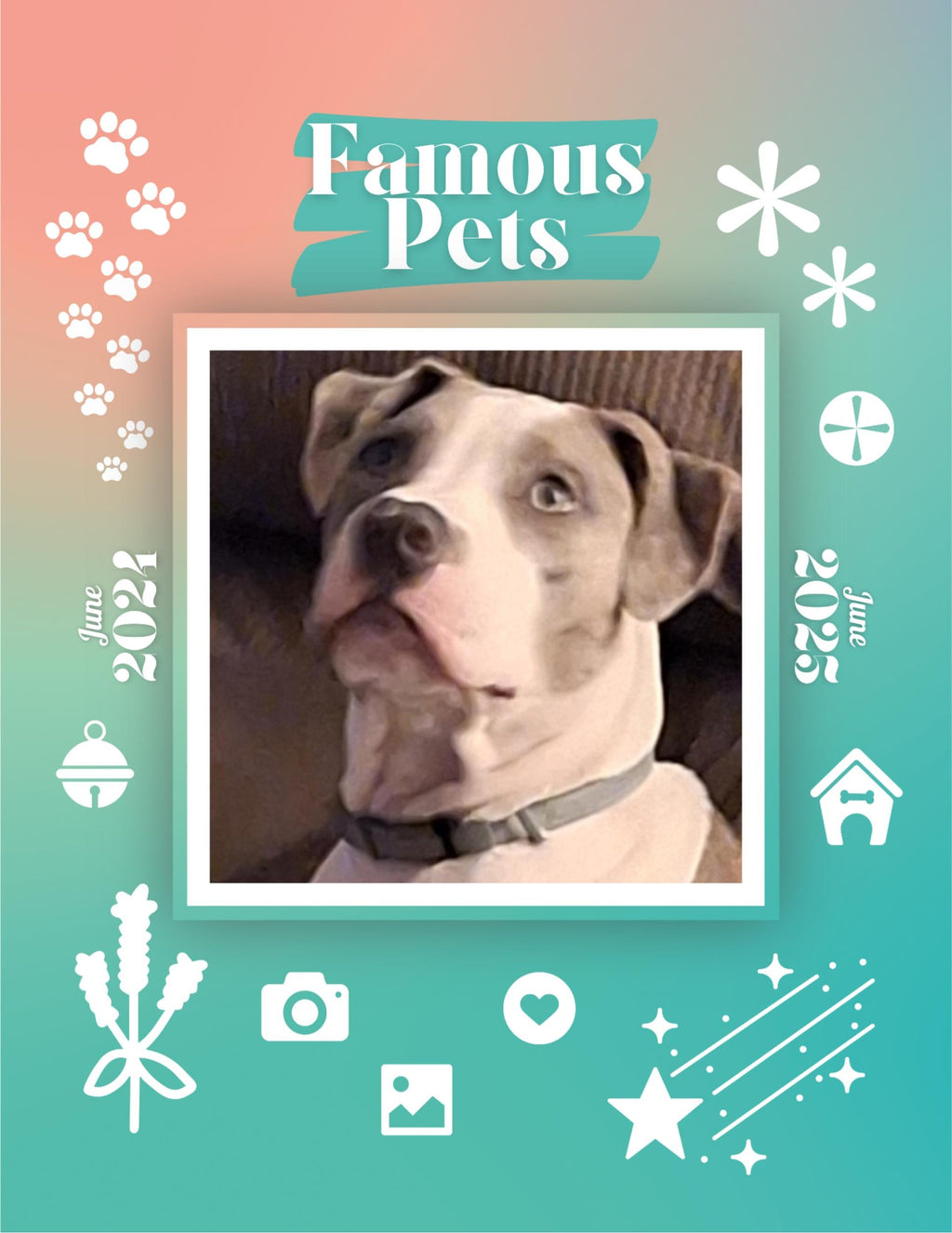 Famous Pets: June 2024-June 2025 Wall Calendar (Pre-Order)