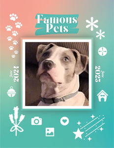 Famous Pets: June 2024-June 2025 Wall Calendar (Pre-Order)