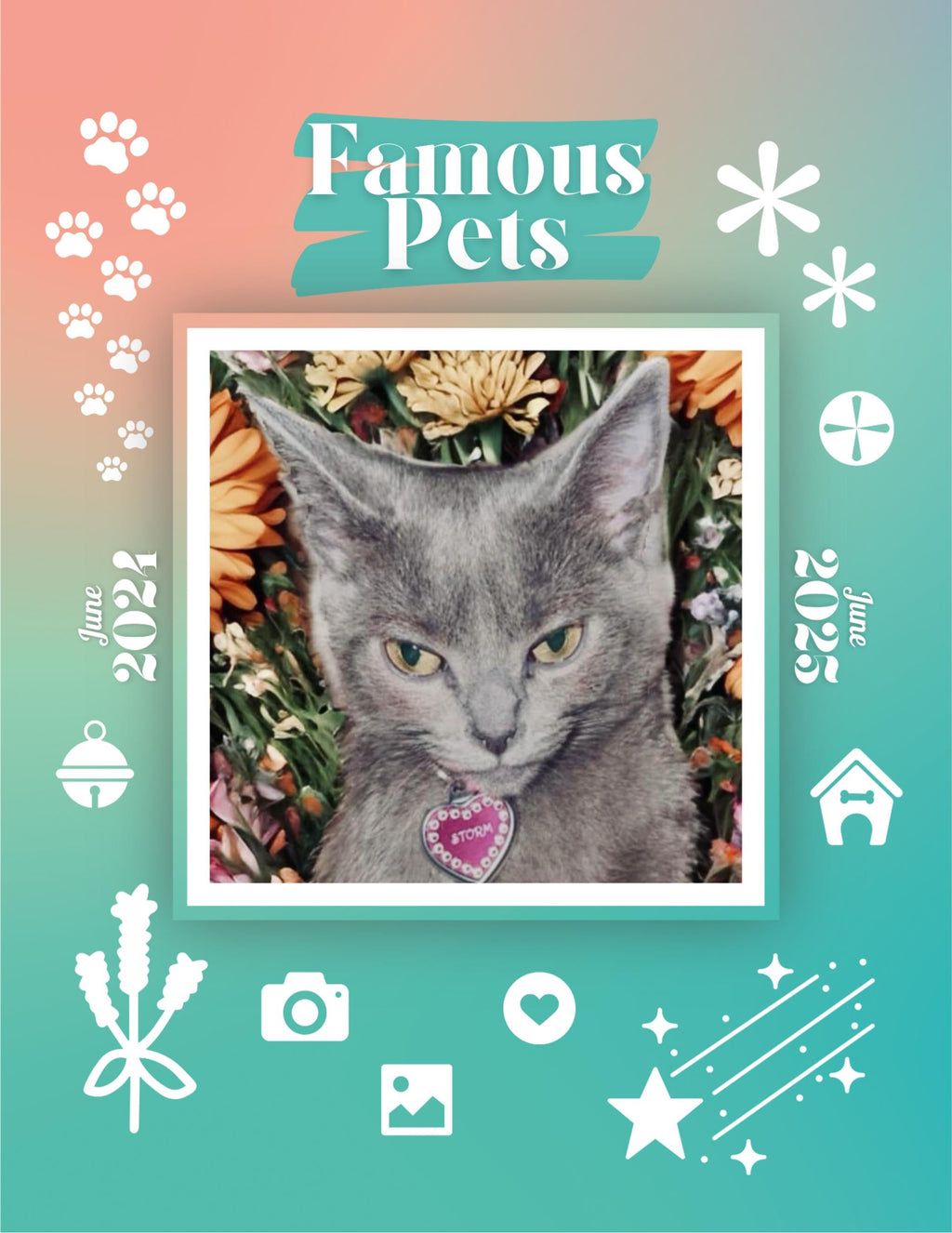 Famous Pets: June 2024-June 2025 Wall Calendar (Pre-Order)