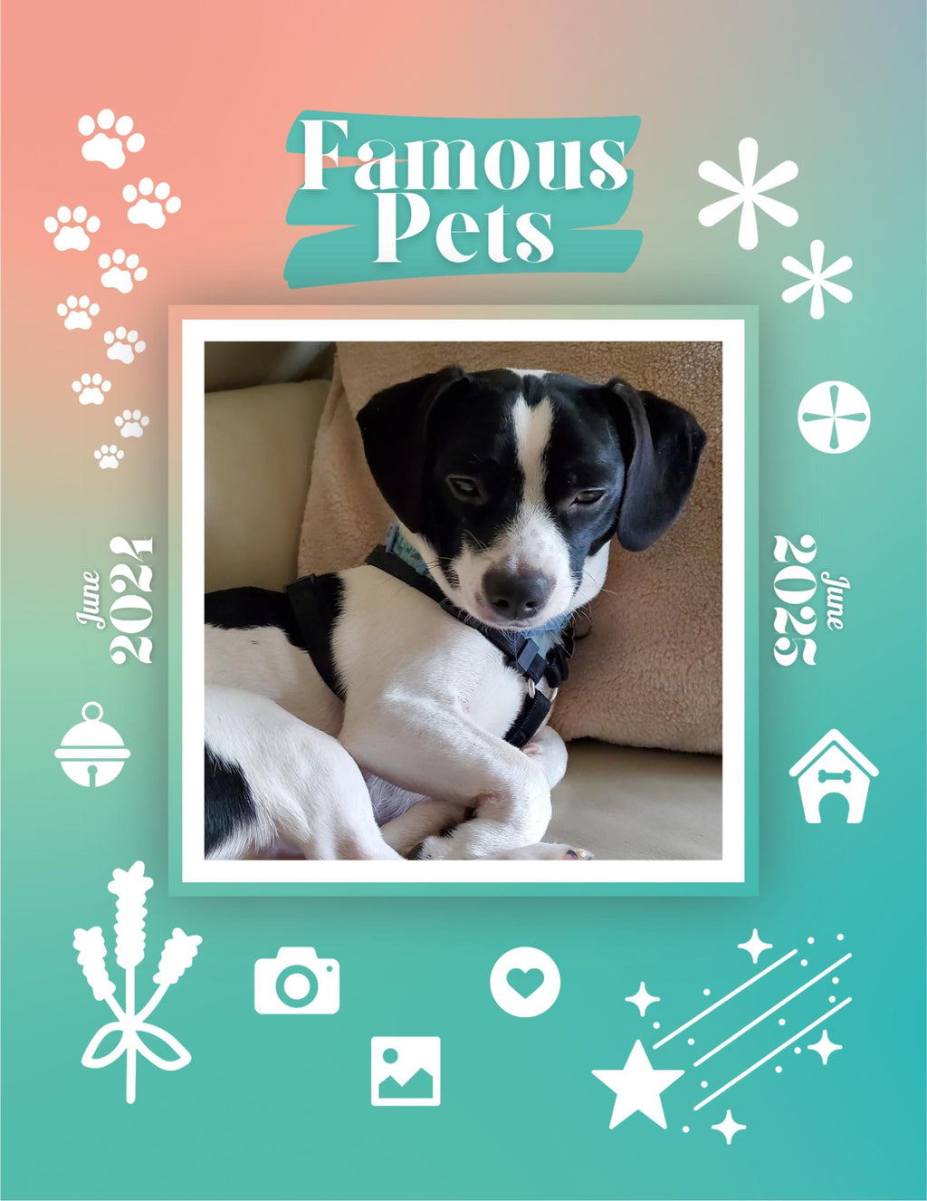 Famous Pets: June 2024-June 2025 Wall Calendar (Pre-Order)