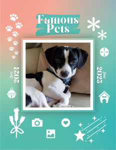 Famous Pets: June 2024-June 2025 Wall Calendar (Pre-Order)