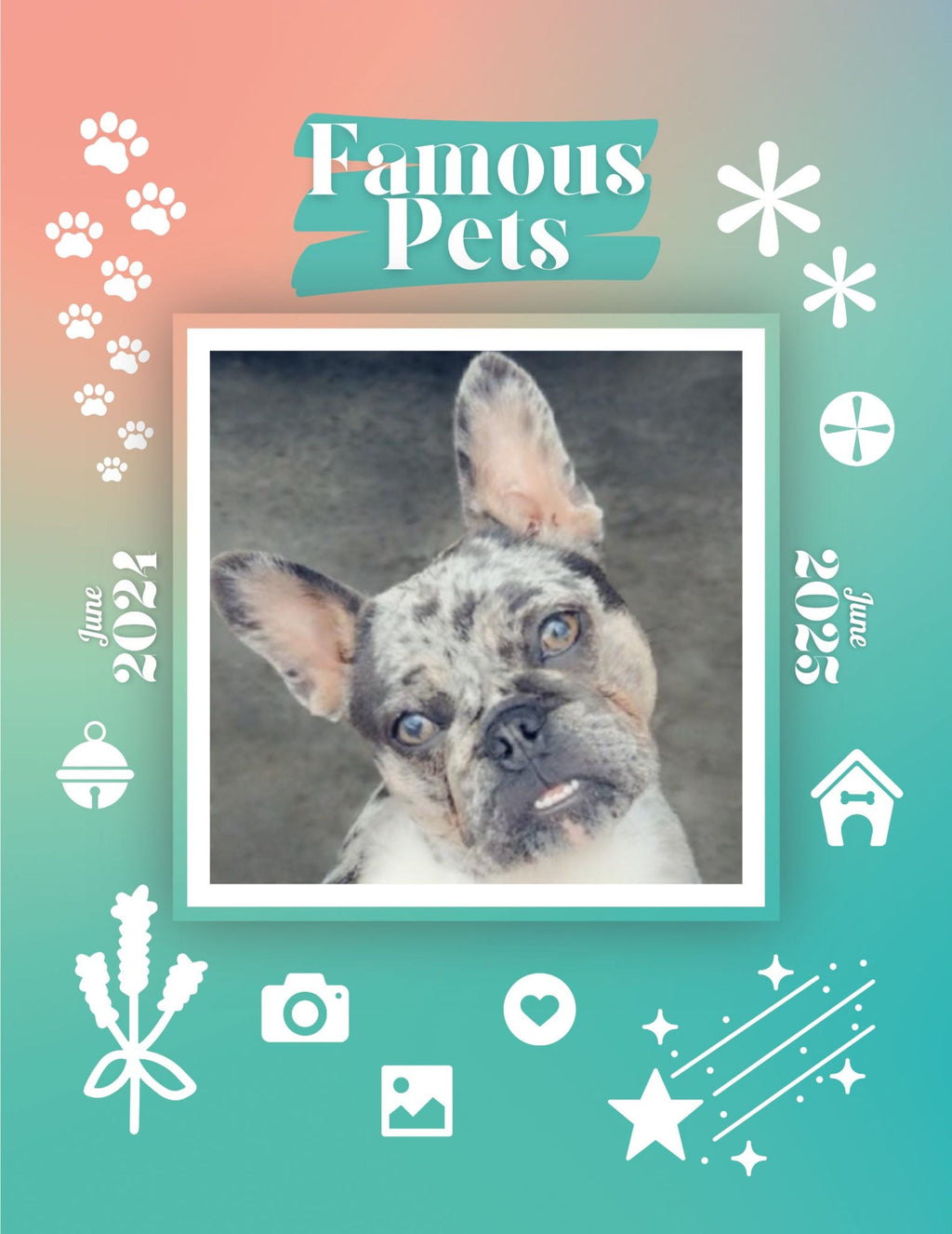 Famous Pets: June 2024-June 2025 Wall Calendar (Pre-Order)