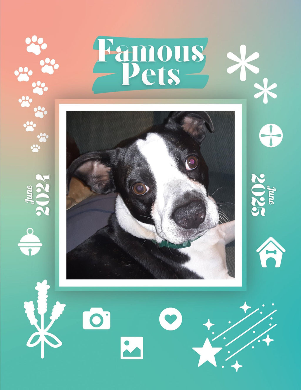 Famous Pets: June 2024-June 2025 Wall Calendar (Pre-Order)