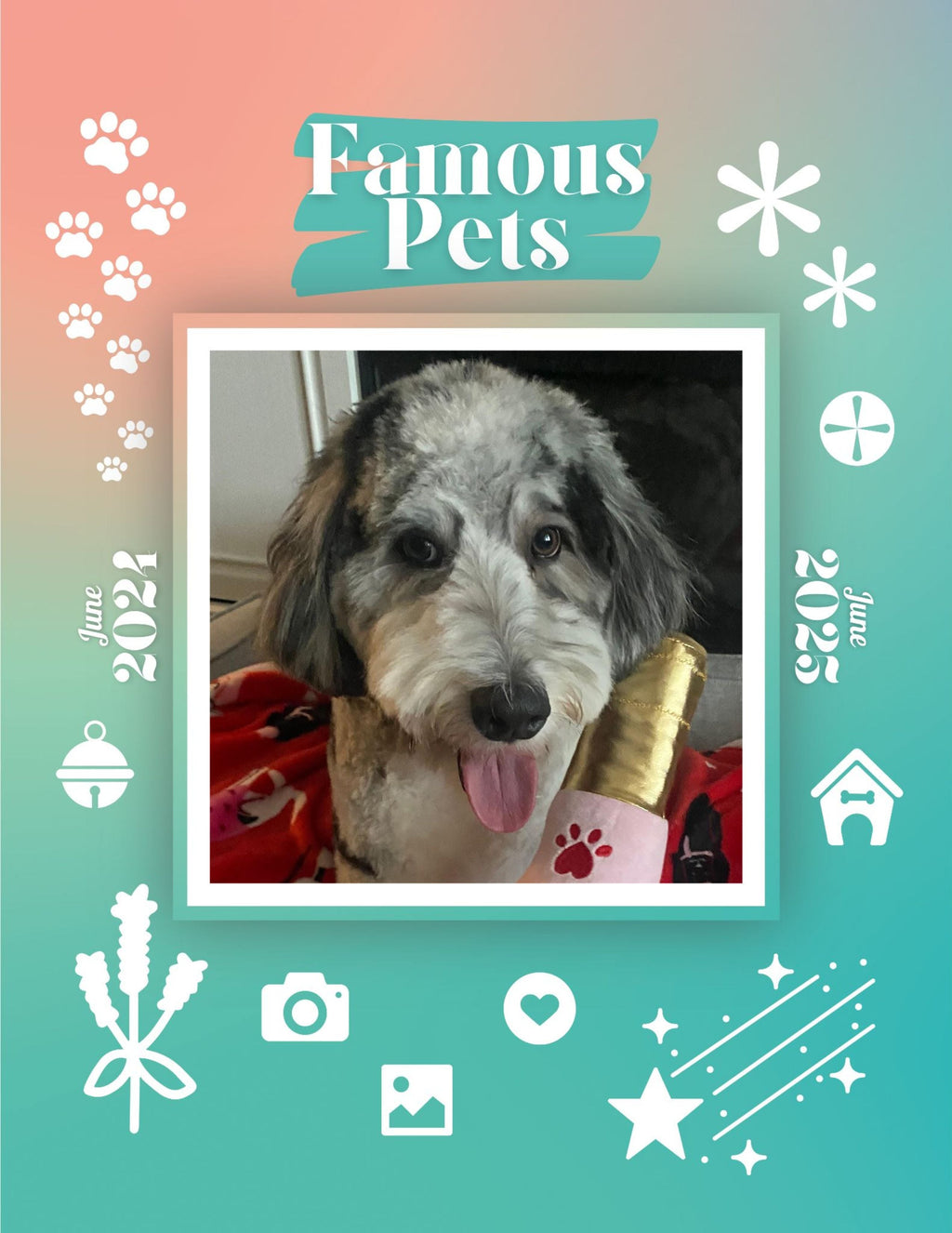 Famous Pets: June 2024-June 2025 Wall Calendar (Pre-Order)