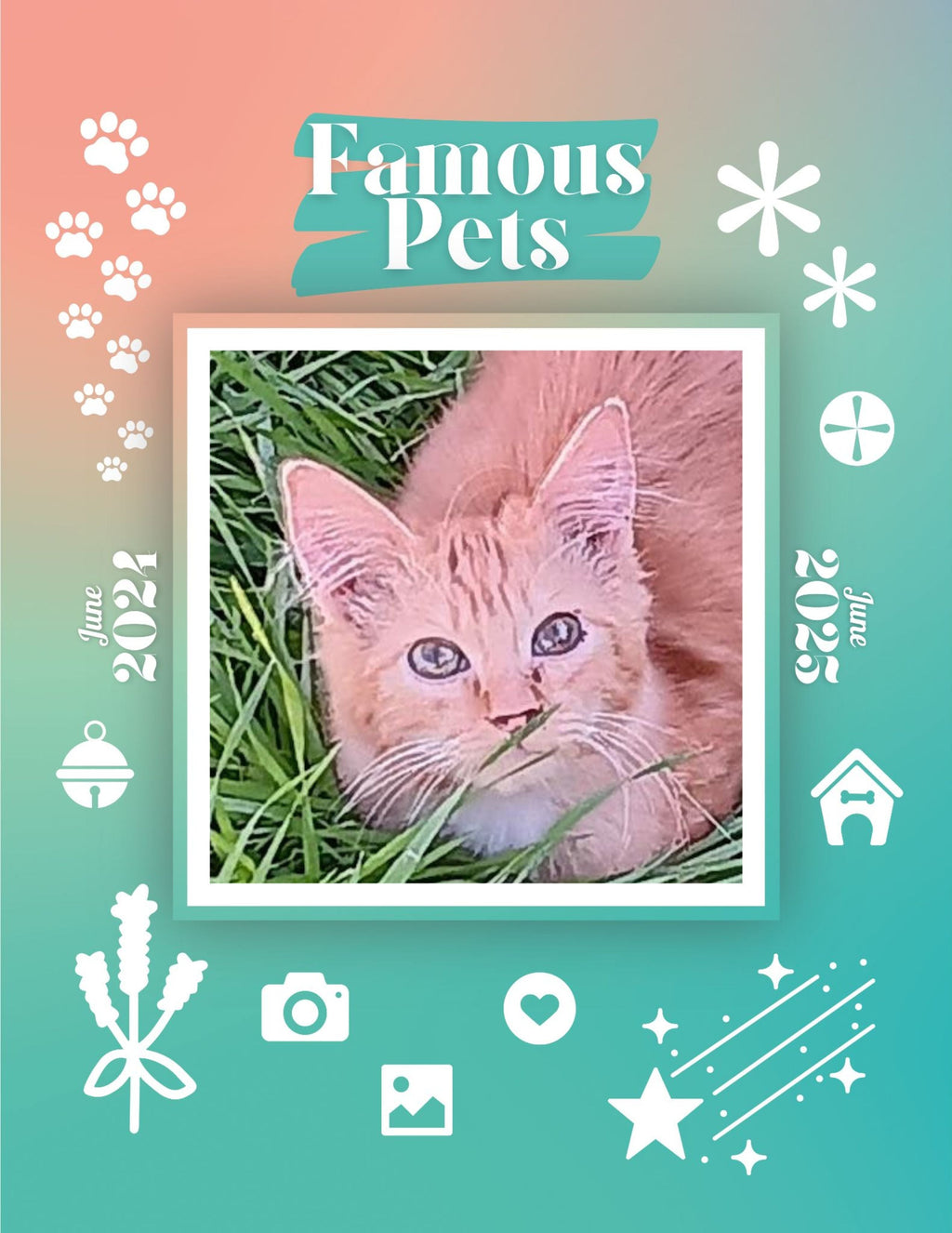 Famous Pets: June 2024-June 2025 Wall Calendar (Pre-Order)