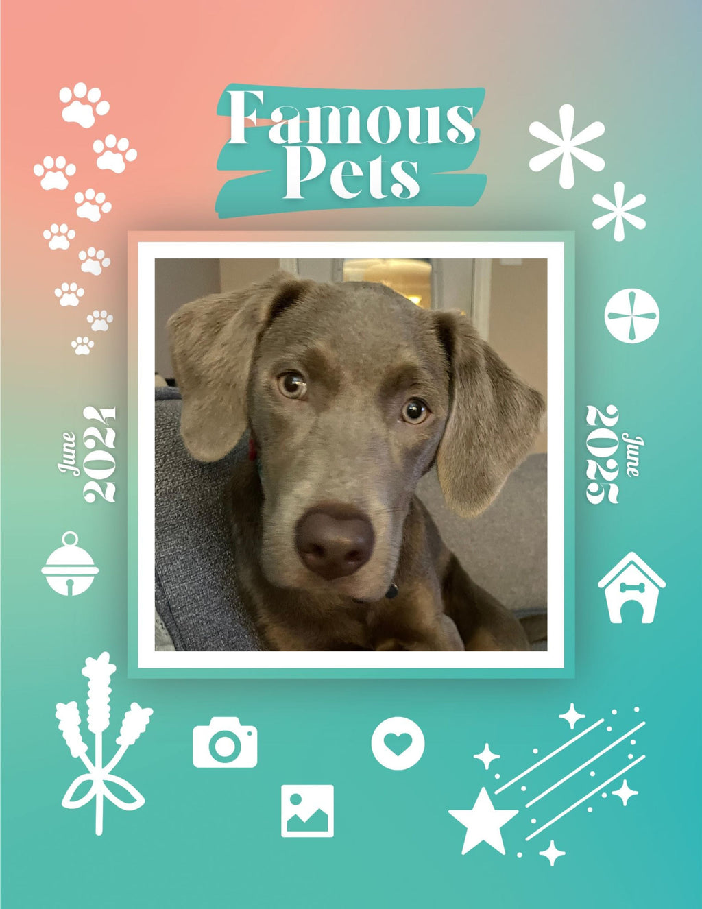 Famous Pets: June 2024-June 2025 Wall Calendar (Pre-Order)