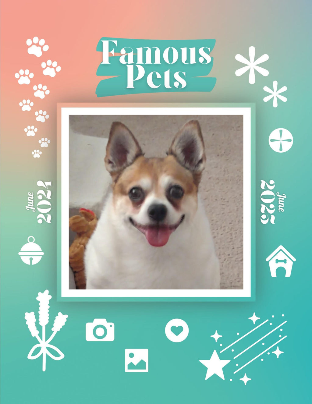 Famous Pets: June 2024-June 2025 Wall Calendar (Pre-Order)