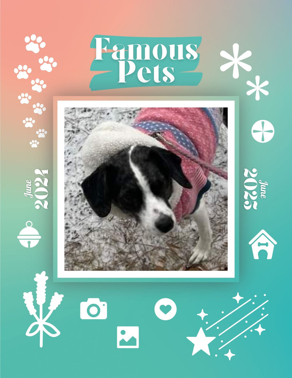 Famous Pets: June 2024-June 2025 Wall Calendar (Pre-Order)