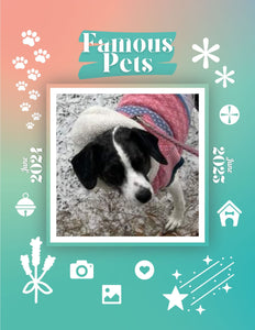 Famous Pets: June 2024-June 2025 Wall Calendar (Pre-Order)