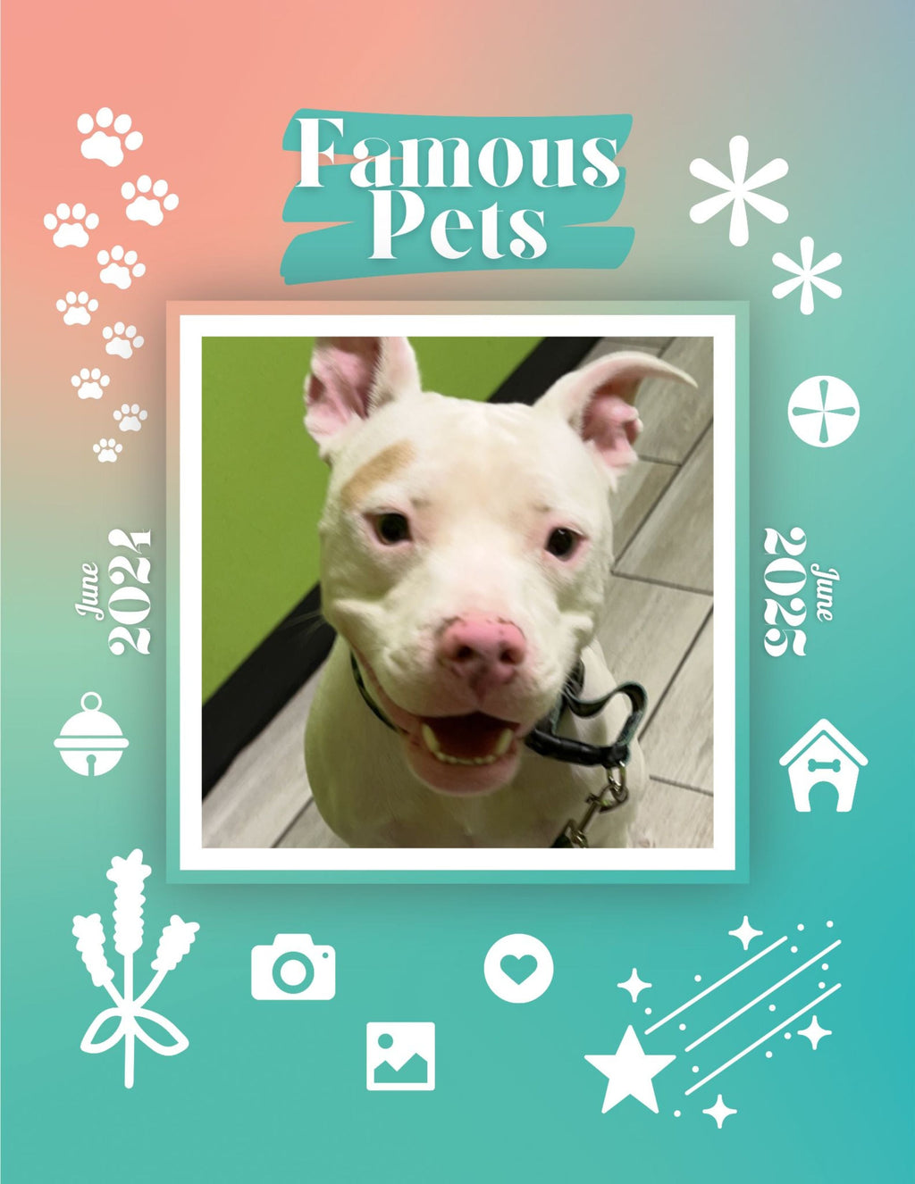 Famous Pets: June 2024-June 2025 Wall Calendar (Pre-Order)
