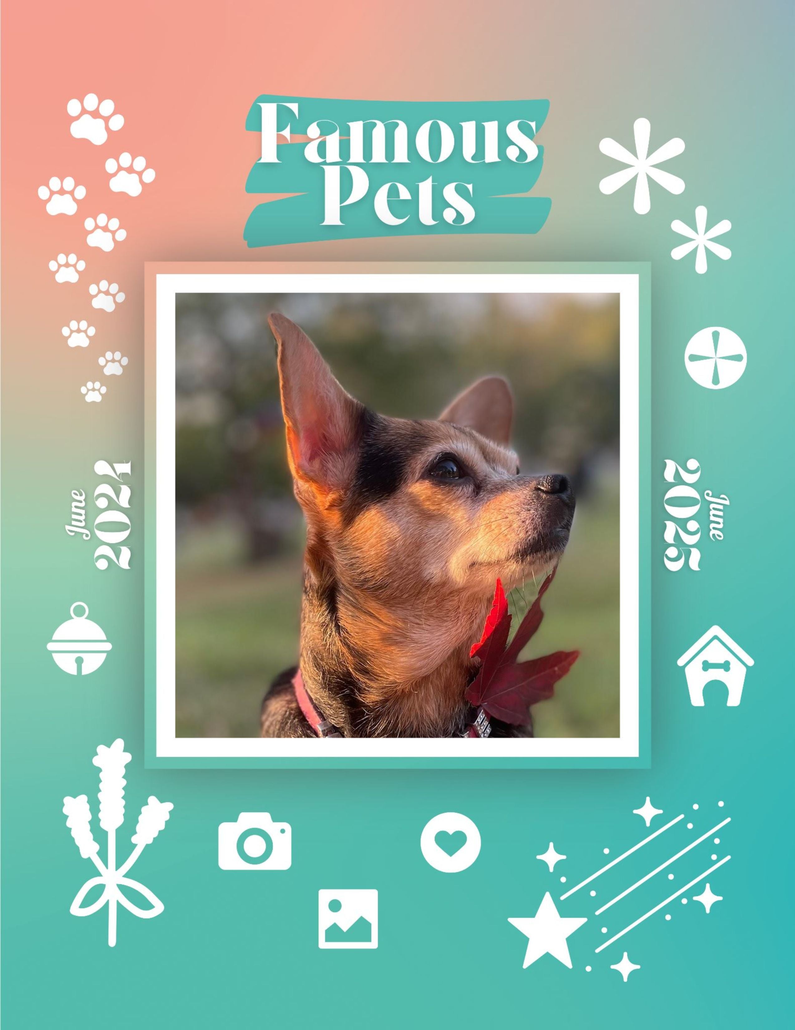 Famous Pets: June 2024-June 2025 Wall Calendar (Pre-Order)