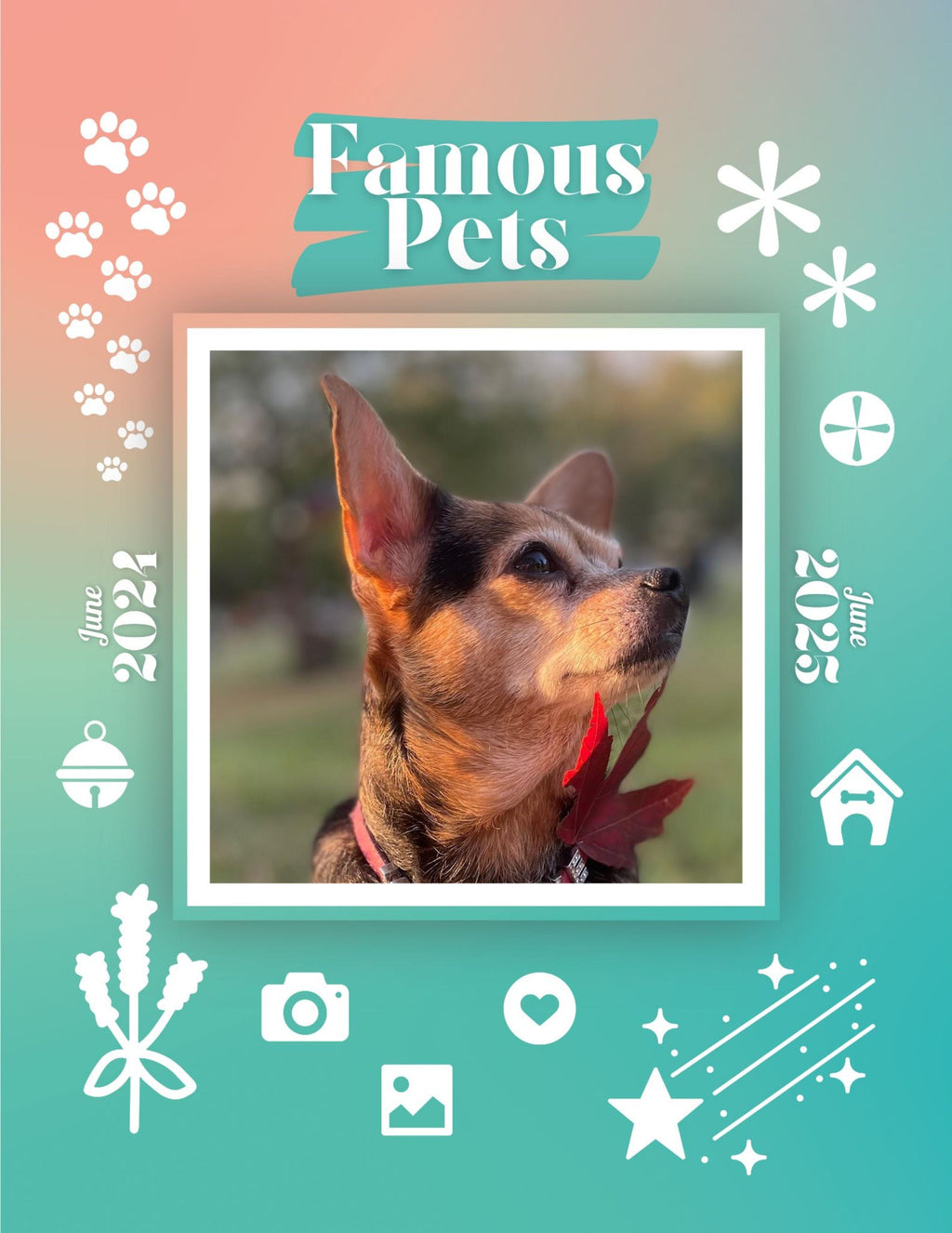 Famous Pets: June 2024-June 2025 Wall Calendar (Pre-Order)