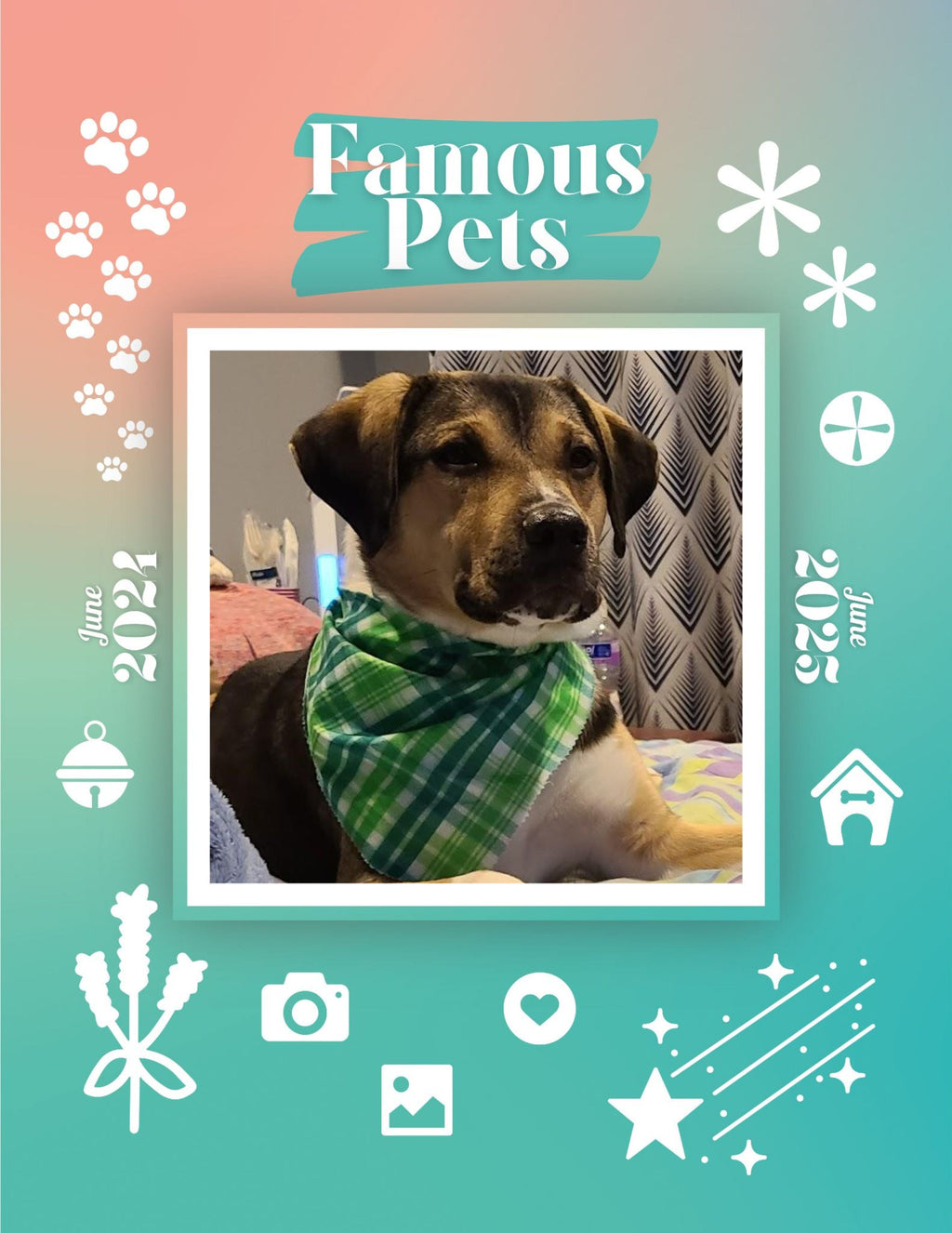 Famous Pets: June 2024-June 2025 Wall Calendar (Pre-Order)