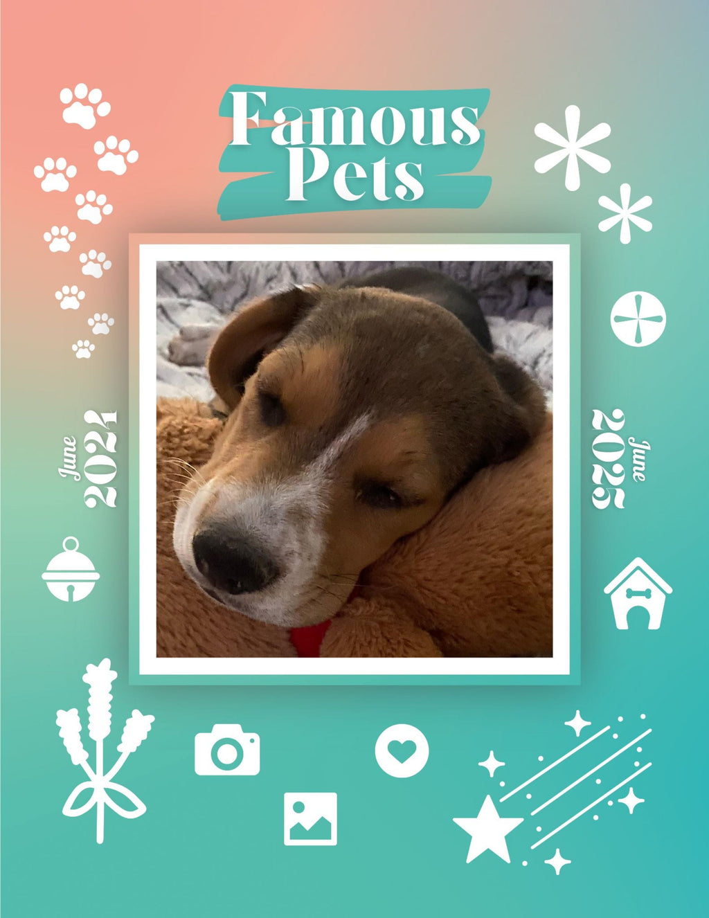 Famous Pets: June 2024-June 2025 Wall Calendar (Pre-Order)