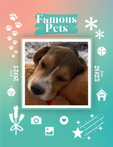 Famous Pets: June 2024-June 2025 Wall Calendar (Pre-Order)
