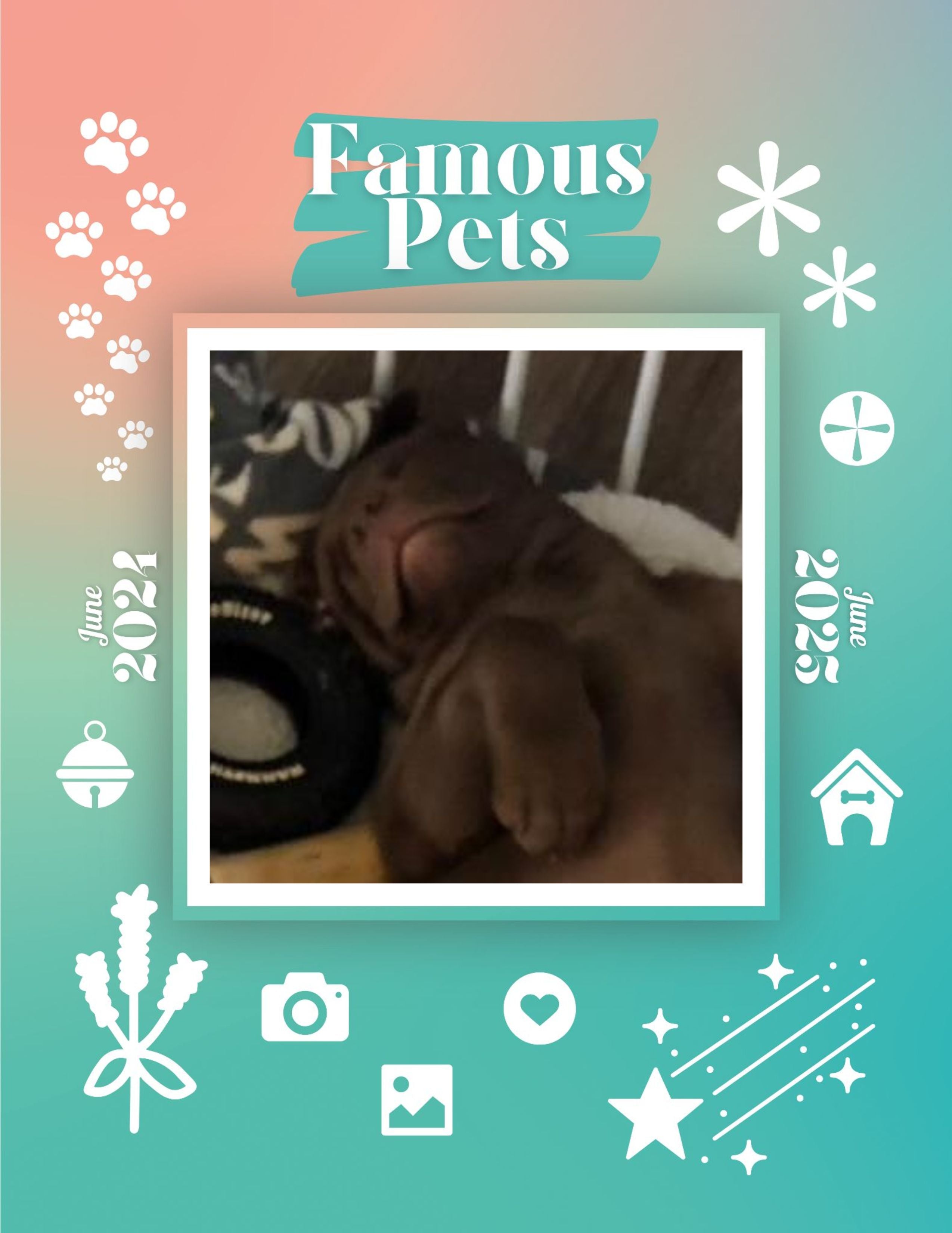 Famous Pets: June 2024-June 2025 Wall Calendar (Pre-Order)