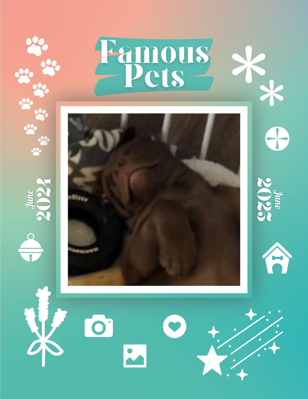 Famous Pets: June 2024-June 2025 Wall Calendar (Pre-Order)