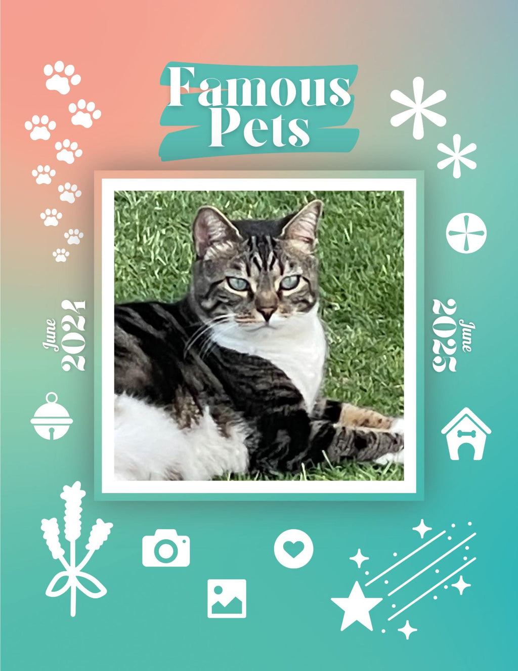 Famous Pets: June 2024-June 2025 Wall Calendar (Pre-Order)