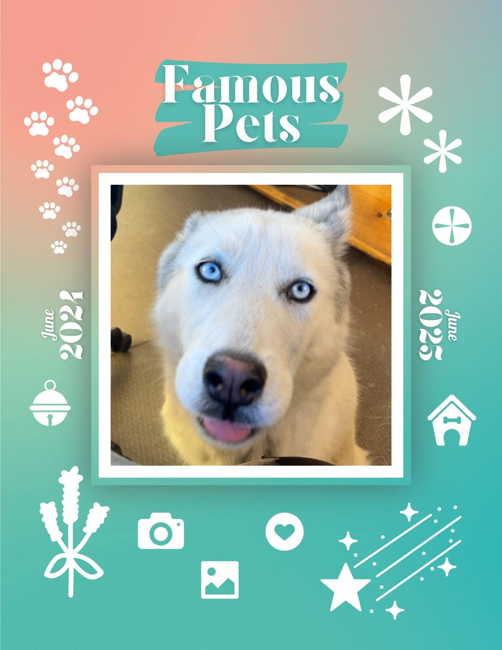 Famous Pets: June 2024-June 2025 Wall Calendar (Pre-Order)