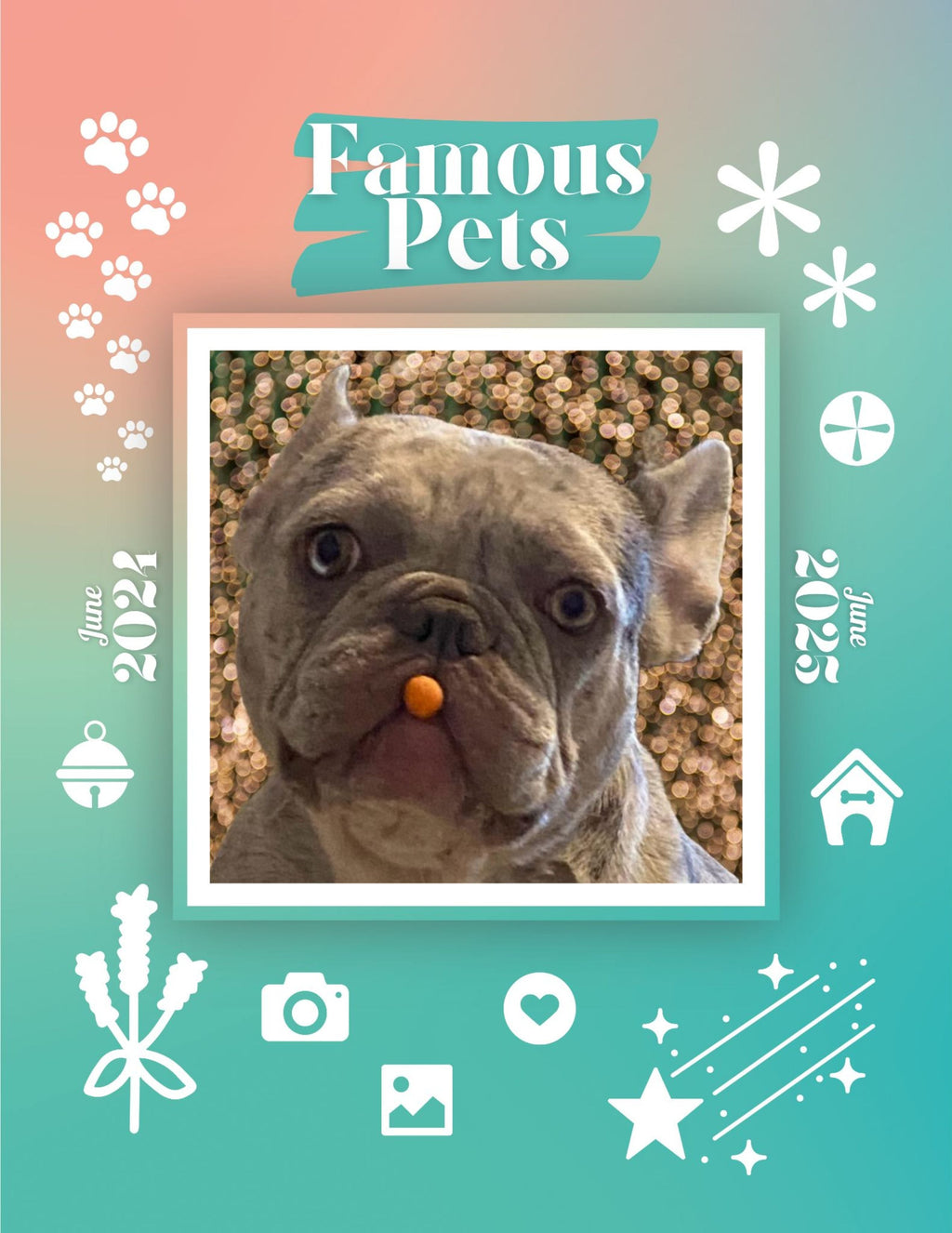 Famous Pets: June 2024-June 2025 Wall Calendar (Pre-Order)