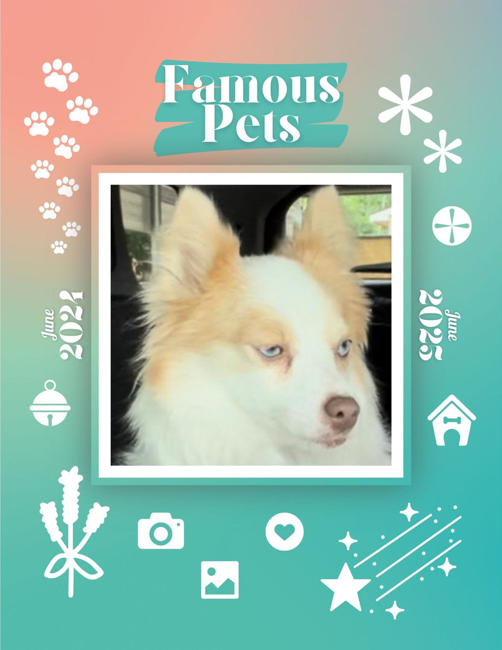 Famous Pets: June 2024-June 2025 Wall Calendar (Pre-Order)