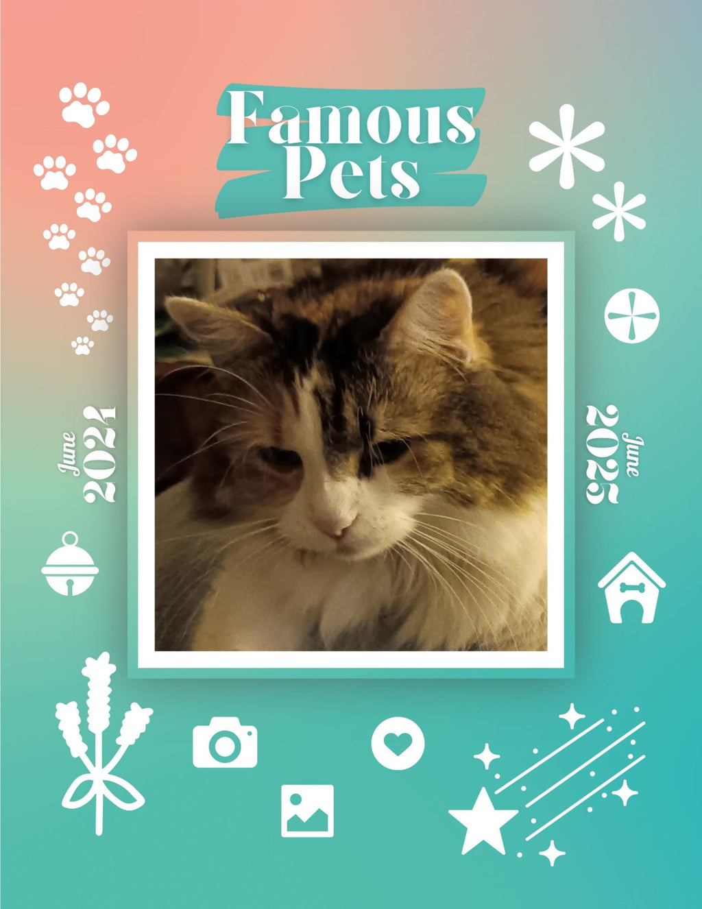 Famous Pets: June 2024-June 2025 Wall Calendar (Pre-Order)