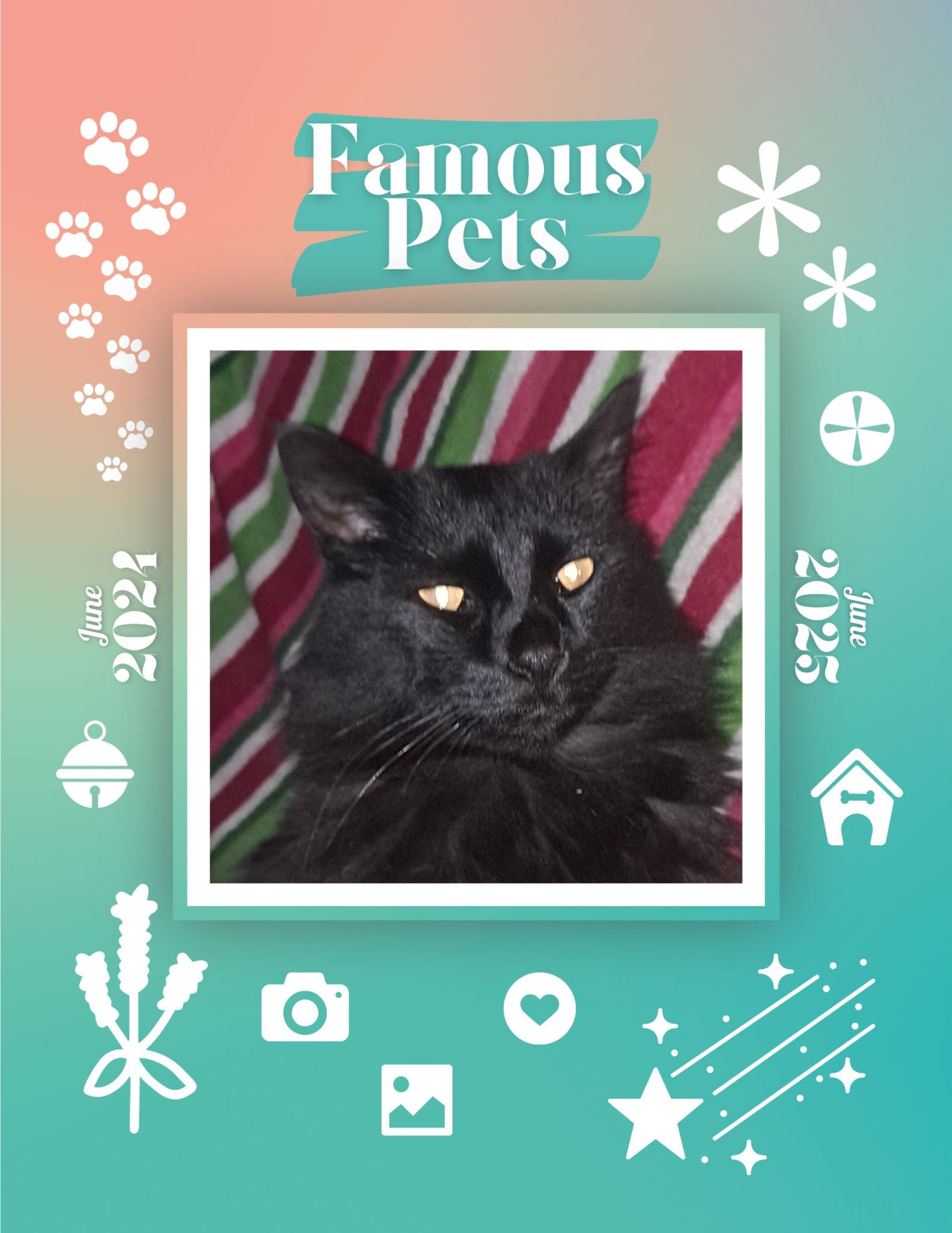 Famous Pets: June 2024-June 2025 Wall Calendar (Pre-Order)