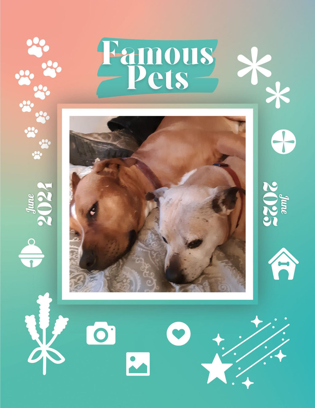 Famous Pets: June 2024-June 2025 Wall Calendar (Pre-Order)