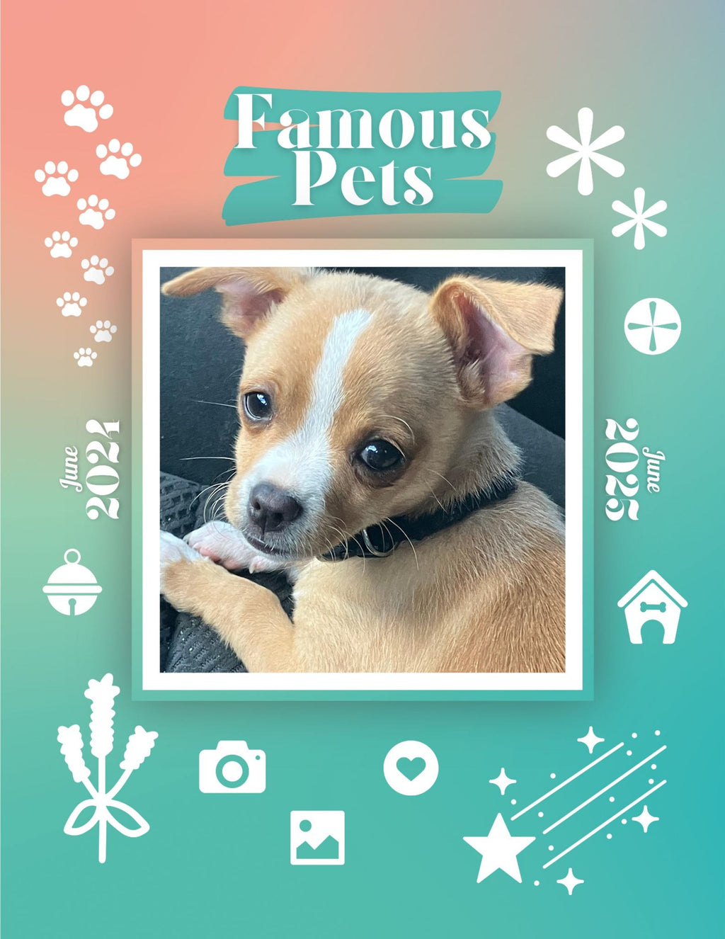 Famous Pets: June 2024-June 2025 Wall Calendar (Pre-Order)