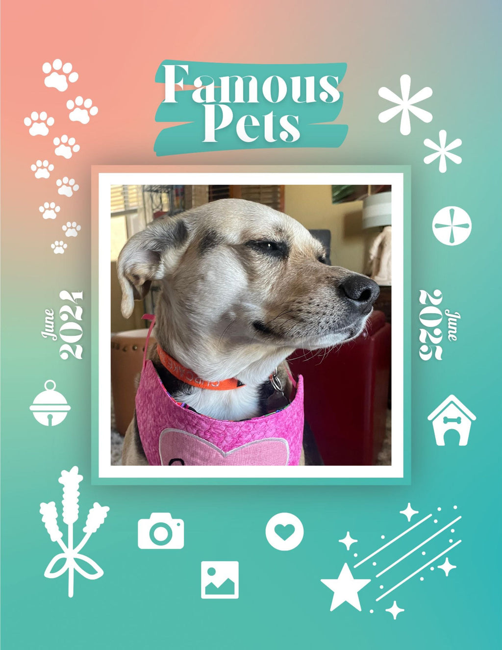 Famous Pets: June 2024-June 2025 Wall Calendar (Pre-Order)