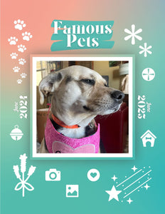 Famous Pets: June 2024-June 2025 Wall Calendar (Pre-Order)