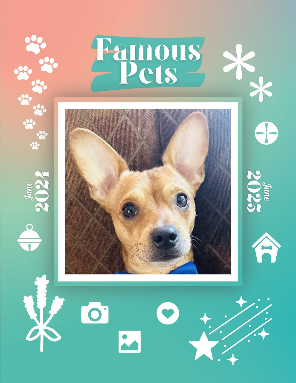 Famous Pets: June 2024-June 2025 Wall Calendar (Pre-Order)
