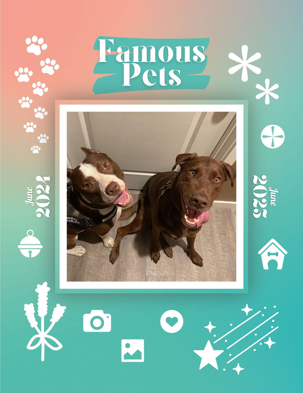 Famous Pets: June 2024-June 2025 Wall Calendar (Pre-Order)