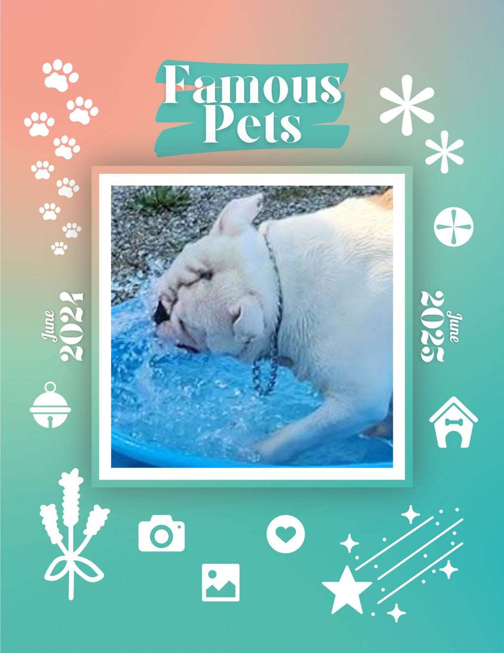 Famous Pets: June 2024-June 2025 Wall Calendar (Pre-Order)
