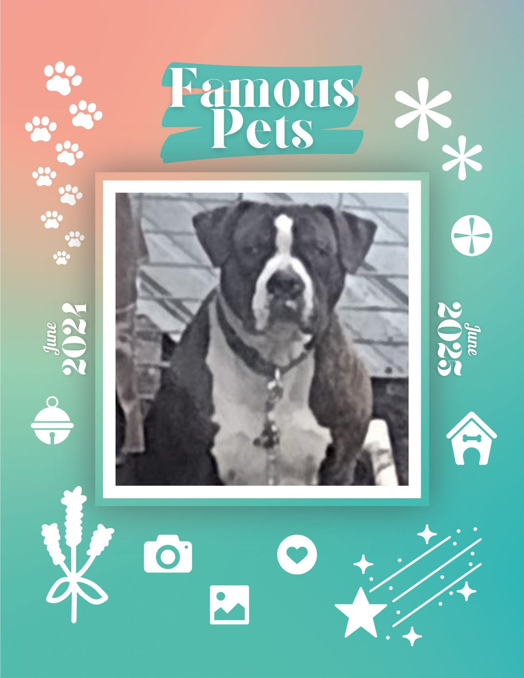 Famous Pets: June 2024-June 2025 Wall Calendar (Pre-Order)