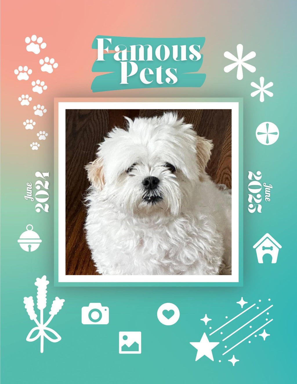 Famous Pets: June 2024-June 2025 Wall Calendar (Pre-Order)