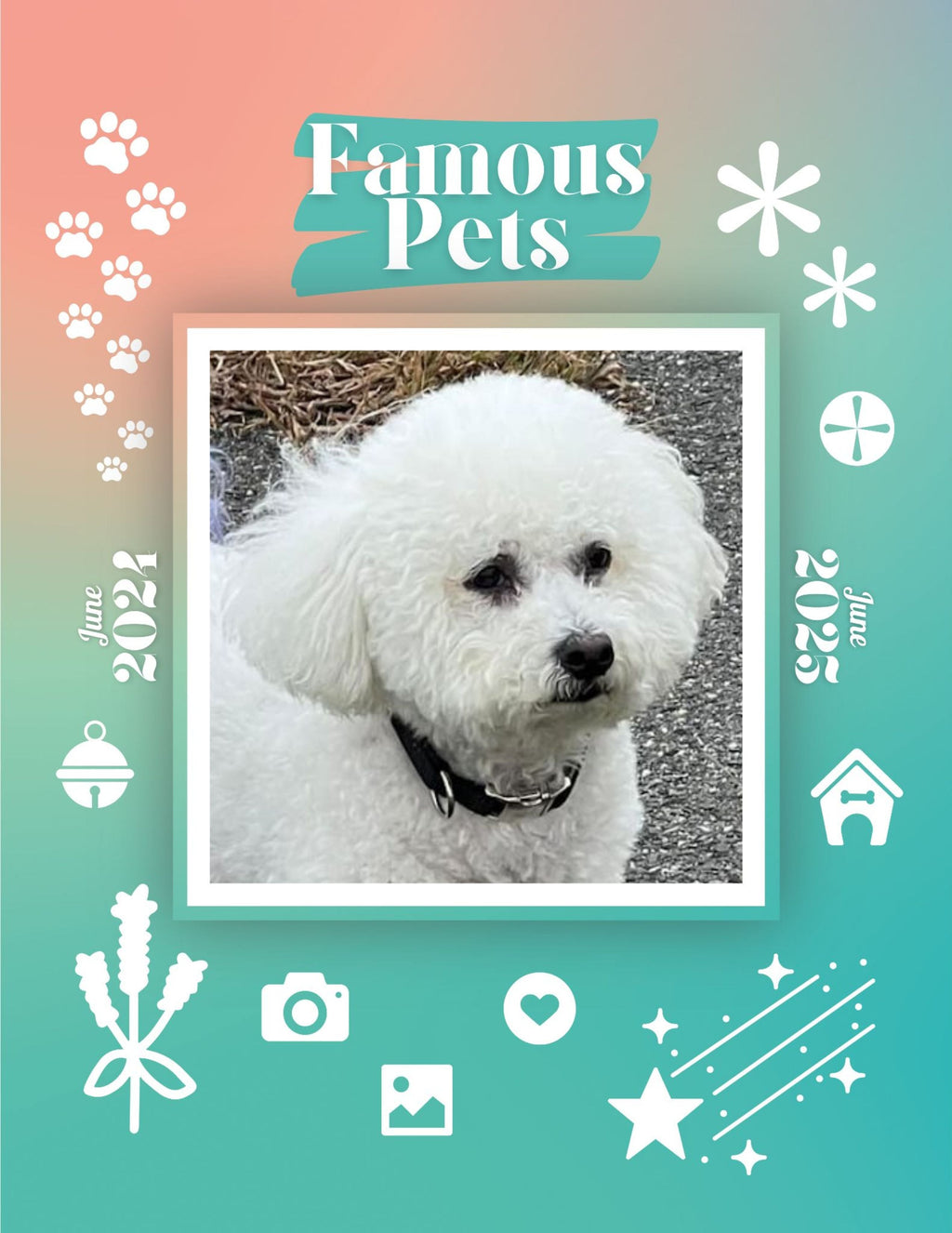 Famous Pets: June 2024-June 2025 Wall Calendar (Pre-Order)