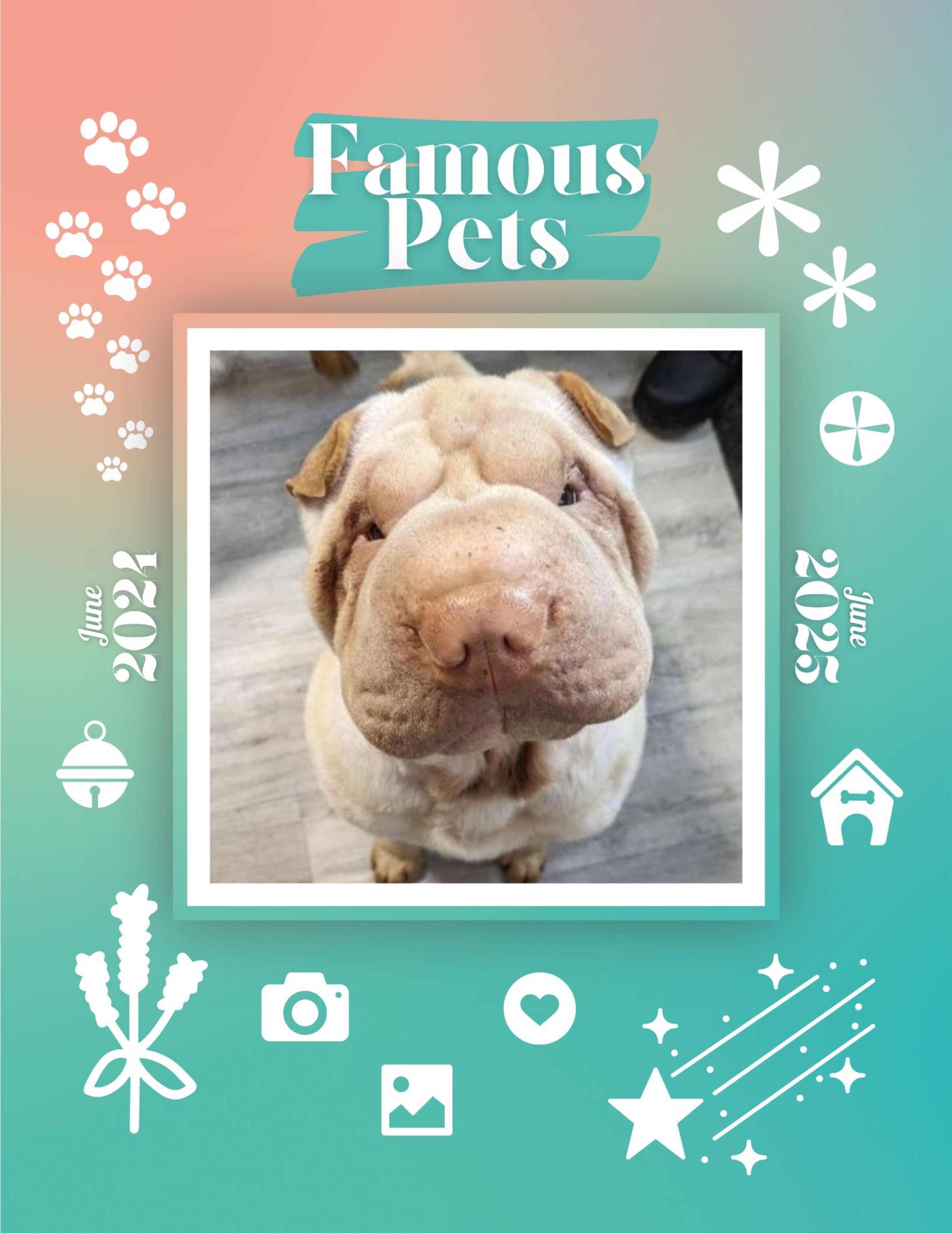 Famous Pets: June 2024-June 2025 Wall Calendar (Pre-Order)