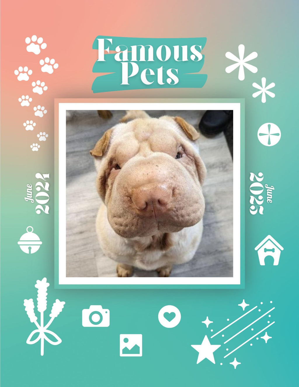 Famous Pets: June 2024-June 2025 Wall Calendar (Pre-Order)