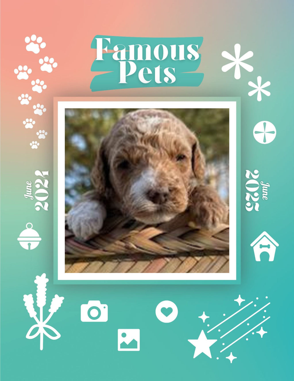 Famous Pets: June 2024-June 2025 Wall Calendar (Pre-Order)